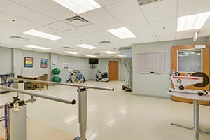 The rehab gym equipment